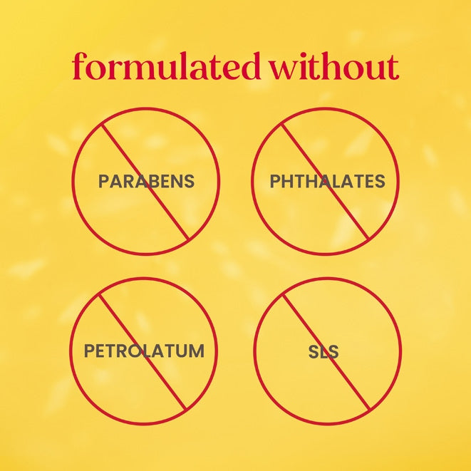A Bit of Burt's Beeswax Holiday Gift Set